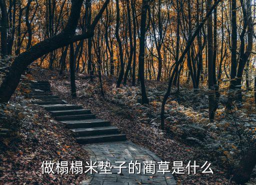 做榻榻米垫子的蔺草是什么
