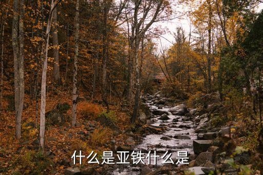 什么是亚铁什么是