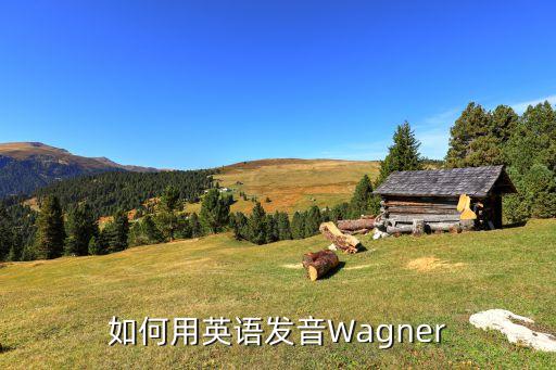 农业生产英文怎么读，如何用英语发音Wagner