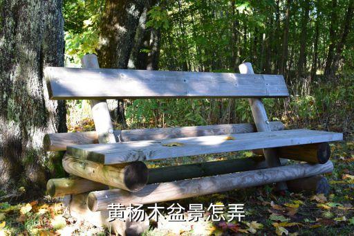 黄杨木盆景怎弄