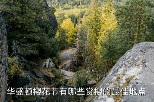 华盛顿樱花节有哪些赏樱的最佳地点