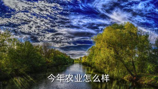 今年农业怎么样