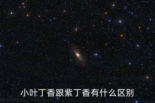 小叶丁香跟紫丁香有什么区别