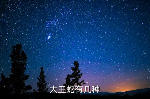 大王蛇，大王蛇吃什么东西