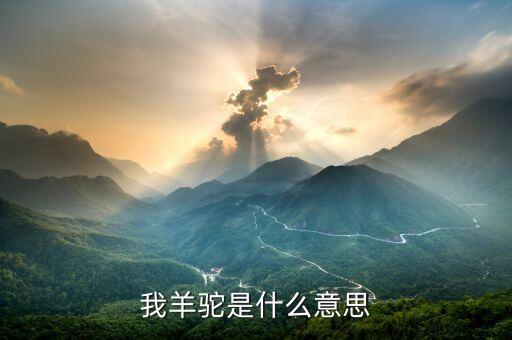 羊驼是什么，自然传奇动物生存技能大比拼1的xiangqu是什么动物