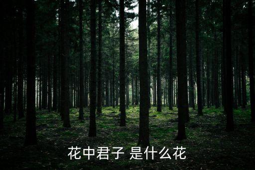 花中君子是什么花，花中君子 是什么花