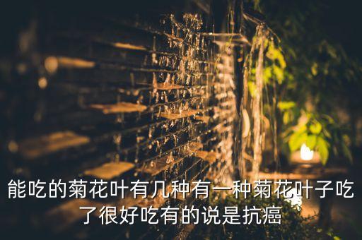 能吃的菊花叶有几种有一种菊花叶子吃了很好吃有的说是抗癌