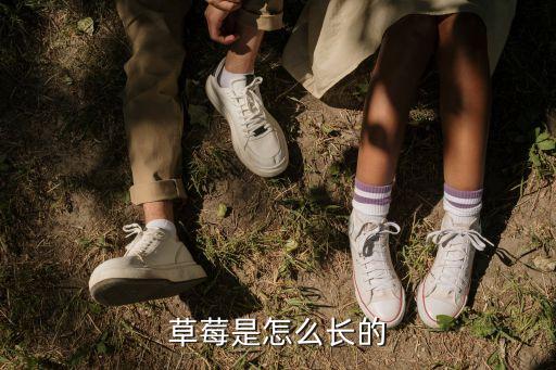 草莓是怎么生长的，草莓是怎么长的