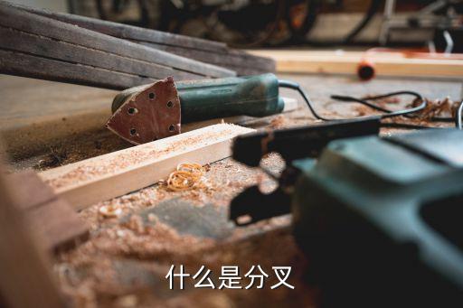 分杈，什么是分叉呀