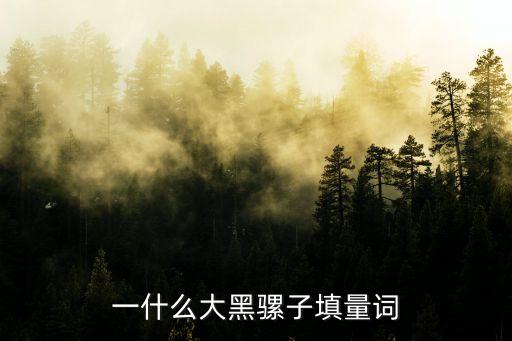 一什么大黑骡子填量词