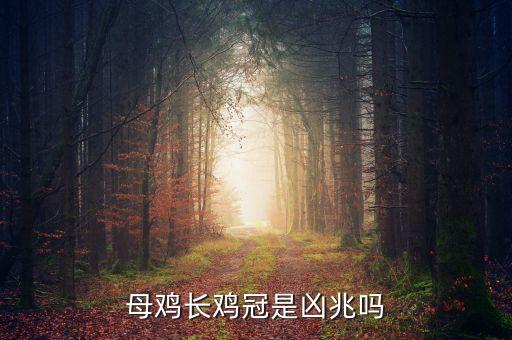 母鸡有鸡冠子吗，母鸡带不带冠子