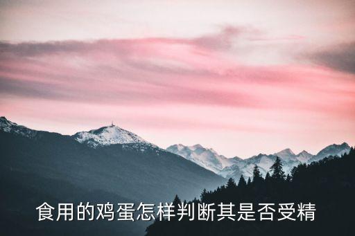 食用的鸡蛋怎样判断其是否受精