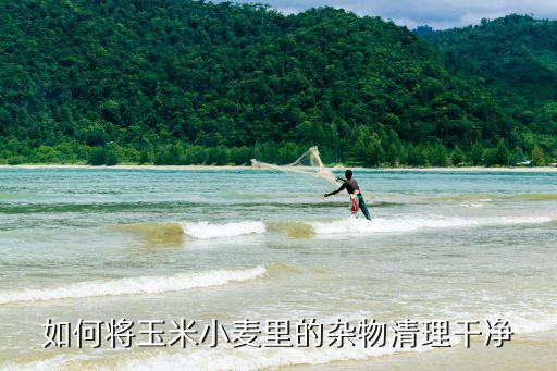 如何将玉米小麦里的杂物清理干净