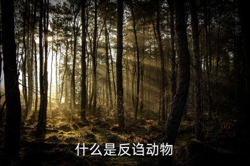 什么是反诌动物