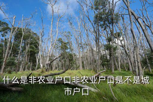 什么是非农业户口非农业户口是不是城市户口