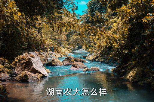 湖南农大怎么样