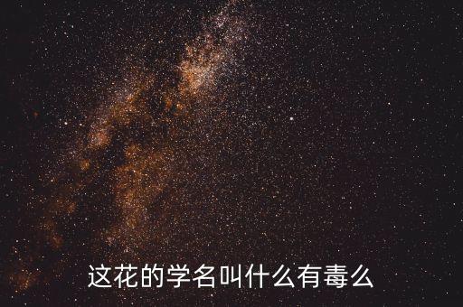 猫尾红，这花的学名叫什么有毒么