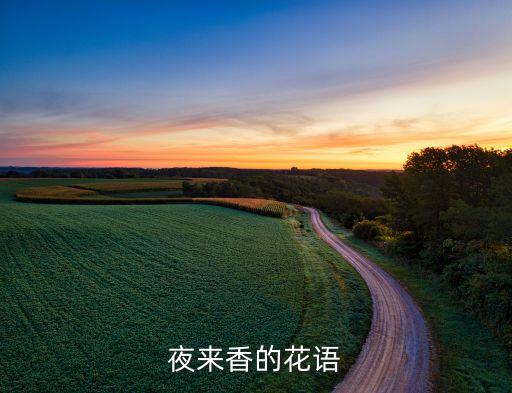 夜来香的花语