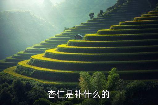杏核，杏核能吃吗貌似有的很苦对身体有害吗