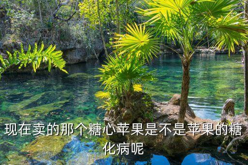 糖心苹果图片，现在卖的那个糖心苹果是不是苹果的糖化病呢