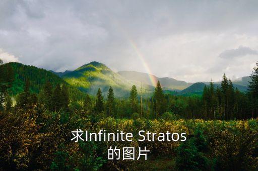 袖珍椰子图片，求Infinite Stratos的图片