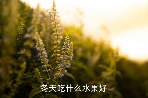 冬天吃什么水果好