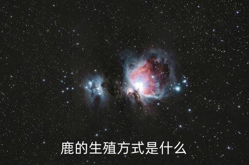 鹿交配，迷你农场秋天鹿怎么交配