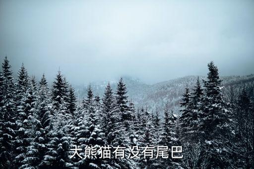 熊猫有尾巴吗，熊猫有尾巴吗