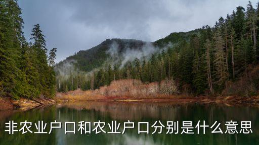 非农业，非农业户口类型是什么意思
