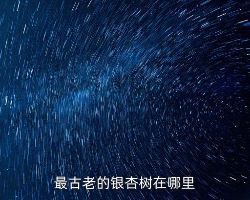 浮来山银杏树，莒县浮来山银杏书多少年了