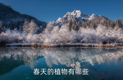 春天有哪些植物，春天有什么植物