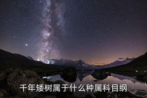 千年矮树属于什么种属科目纲