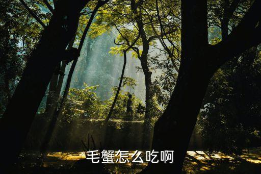 毛蟹怎么吃啊