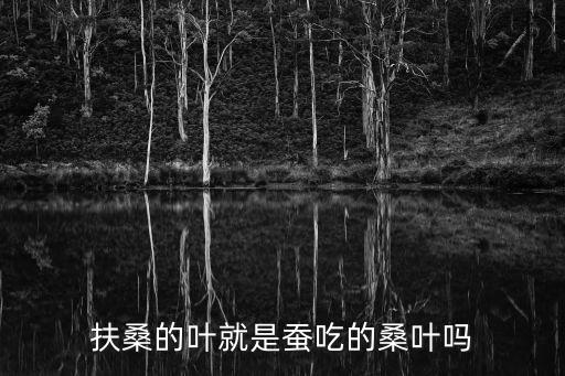 扶桑叶，扶桑的叶就是蚕吃的桑叶吗