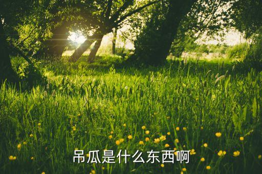 吊瓜是什么东西啊