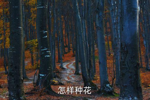 怎样种花