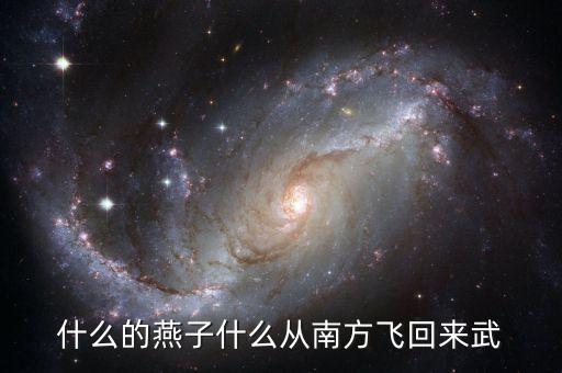 什么的燕子什么从南方飞回来武