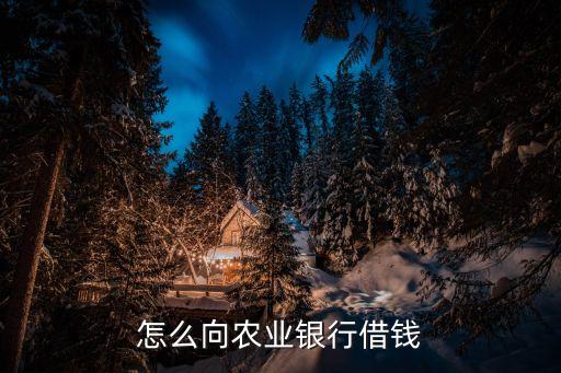 怎么向农业银行借钱
