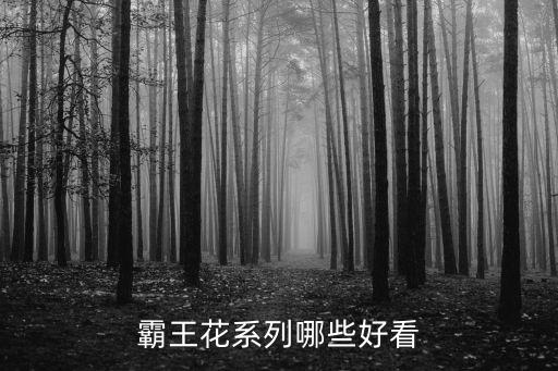 霸王花4，霸王花系列哪些好看
