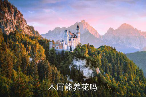 锯木屑可以种花吗，锯末可以代替泥土种花吗