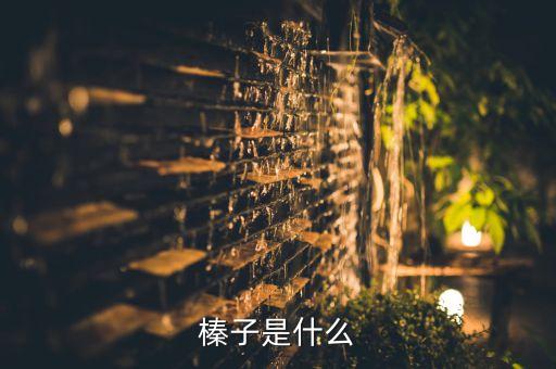 榛子是什么