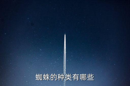 蜘蛛的种类有哪些