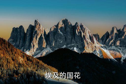 埃及的国花，埃及的国花是什么花