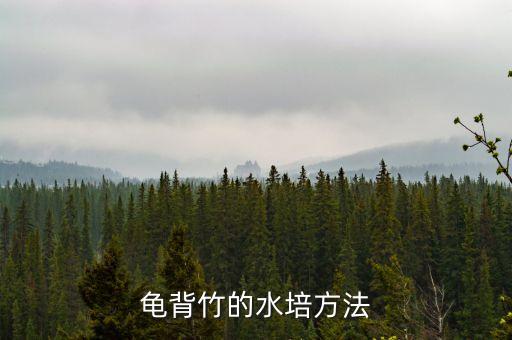 龟背竹的水培方法