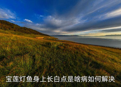 宝莲灯鱼身上长白点是啥病如何解决