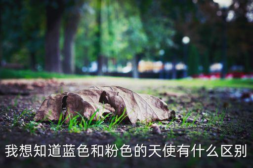 我想知道蓝色和粉色的天使有什么区别