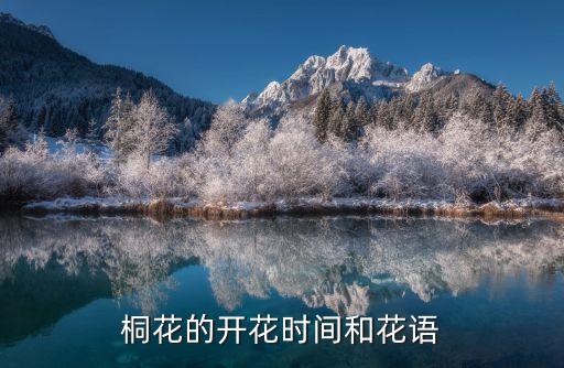 桐花的开花时间和花语