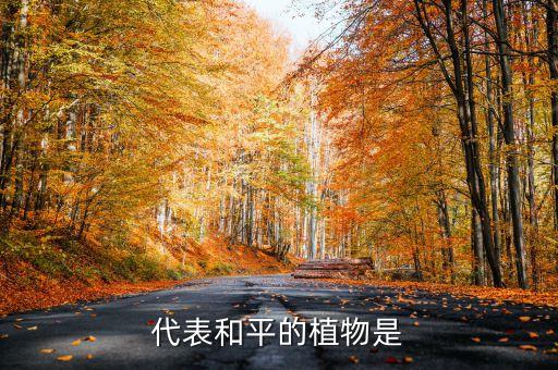 代表和平的植物，代表和平的植物是