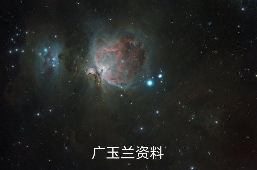 广玉兰树图片，广玉兰资料