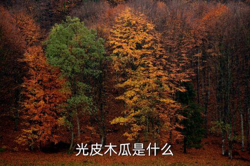 光皮木瓜，光皮木瓜是什么